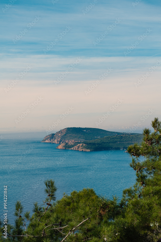 Scenic view of the sea and distant islands from Buyukada, Istanbul, framed by pine trees Scenic view of the sea and distant islands from Buyukada, Istanbul, framed by pine trees