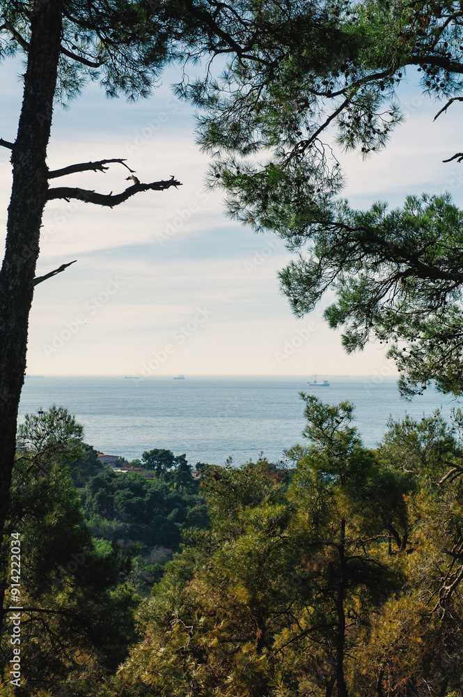 Scenic view of the sea and distant islands from Buyukada, Istanbul, framed by pine trees Scenic view of the sea and distant islands from Buyukada, Istanbul, framed by pine trees
