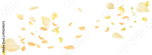 Yellow falling rose or sunflowers petals.Transparent panoramic horizontal background.Amber flower spring template.