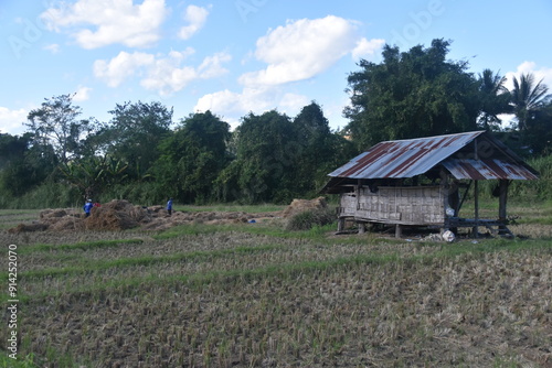 The landscape along the Moei river dividing Northern Thailand and Myanmar photo