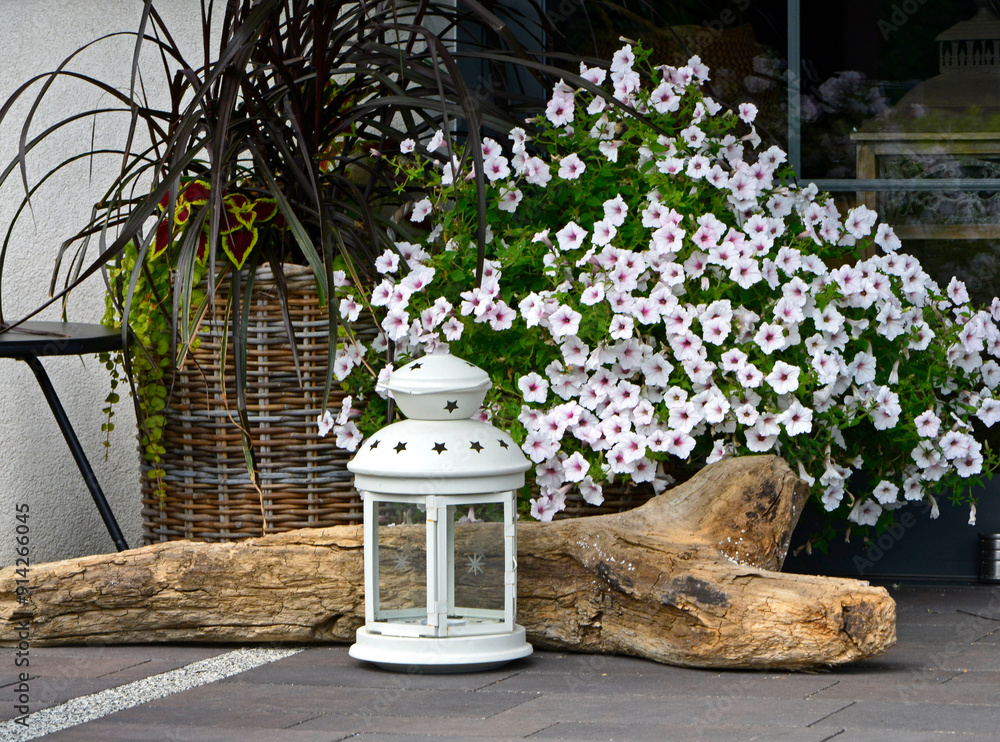 dekoracja ogrodowa z kłoda drewna, bialą latarenką i białymi petuniami, ozdobna kompozycja z petuniami i latarenkją ogrodową, Petunia × atkinsiana, composition with petunias and garden lantern