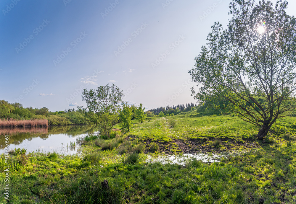 Fototapeta premium Summer landscape