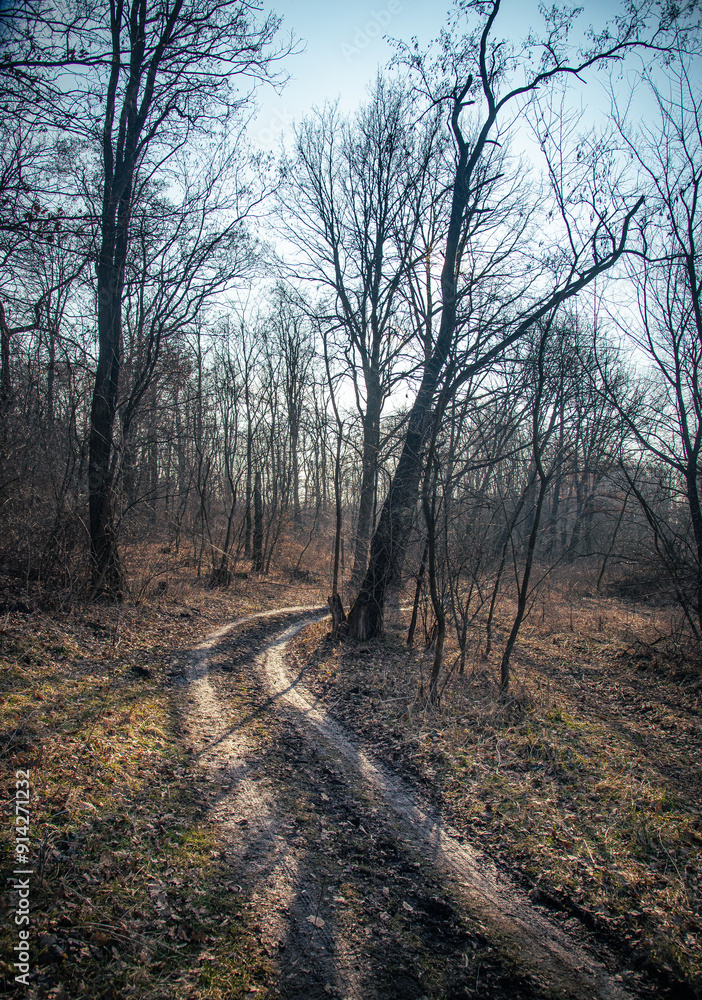 Fototapeta premium Spring evening landscape