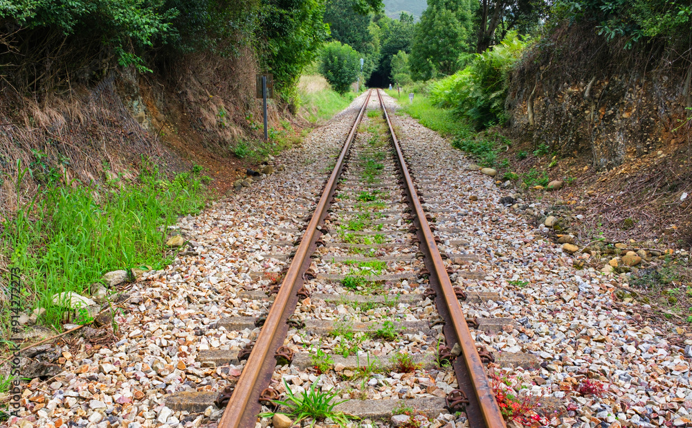 Obraz premium Perspective view of the railroad tracks on a dead and abandoned track.