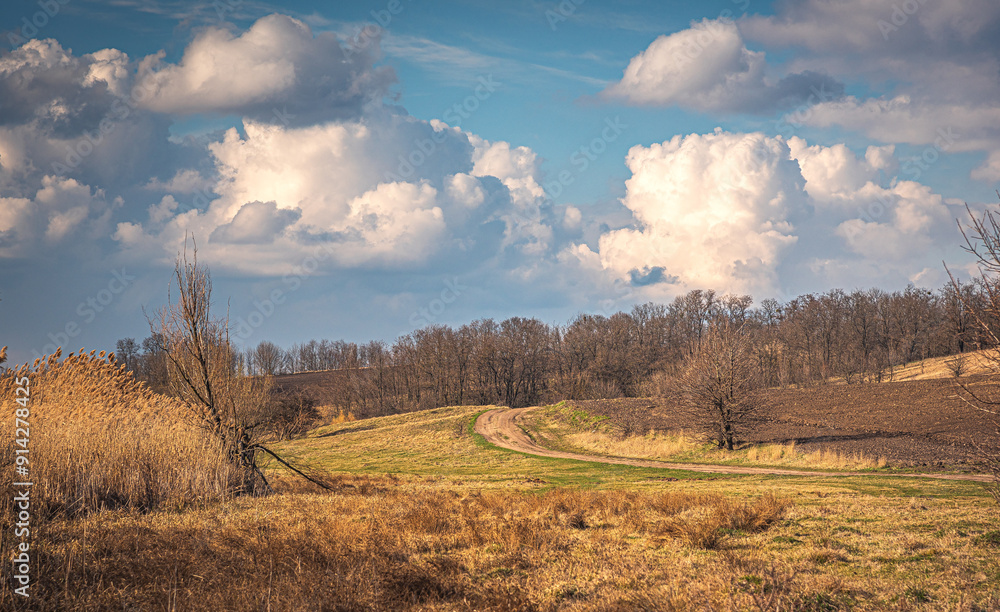 Fototapeta premium Spring evening landscape