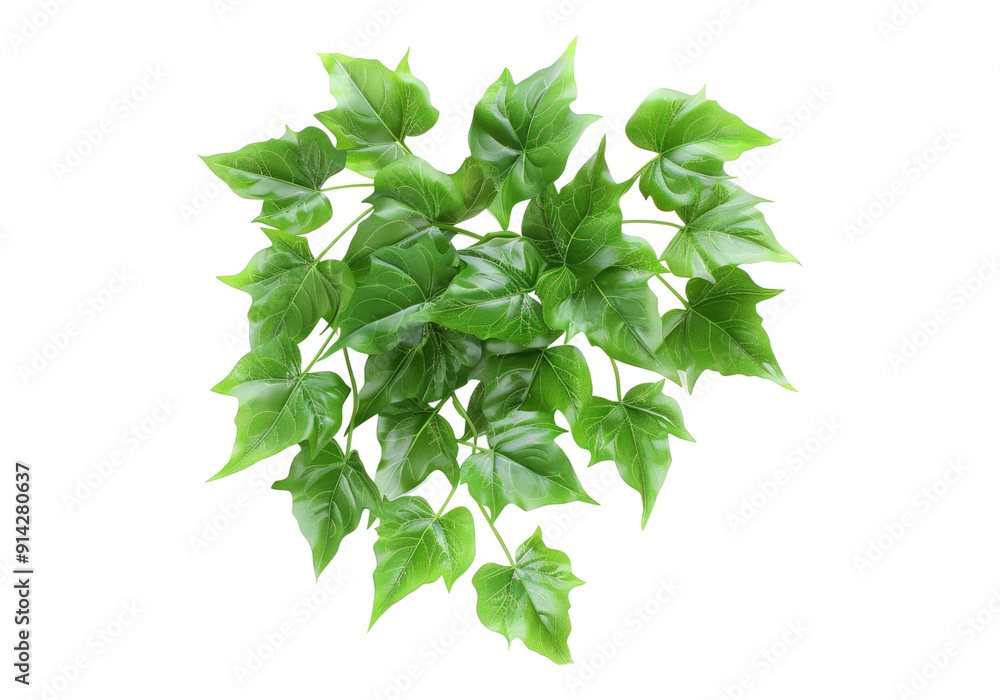 Fototapeta premium Cluster of green leaves isolated on transparent background. Transparent PNG.