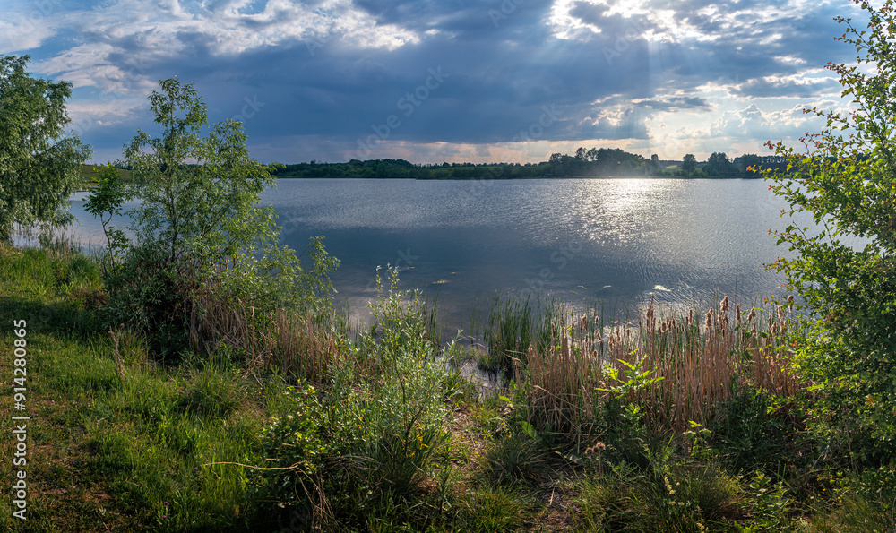 Obraz premium Summer landscape