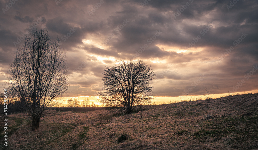 Naklejka premium Spring evening landscape