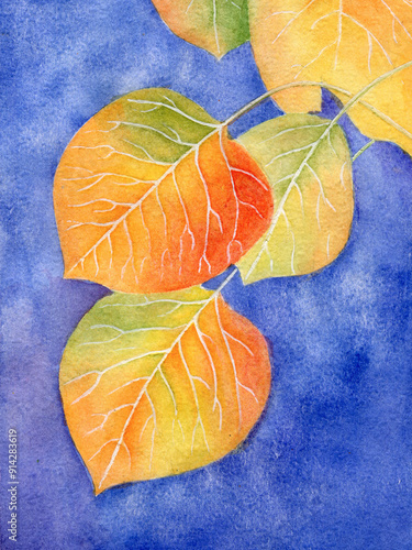 Multi-colored autumn leaves against a blue sky