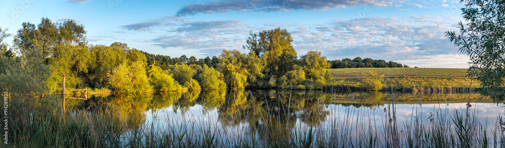 Fototapeta premium Summer evening landscape