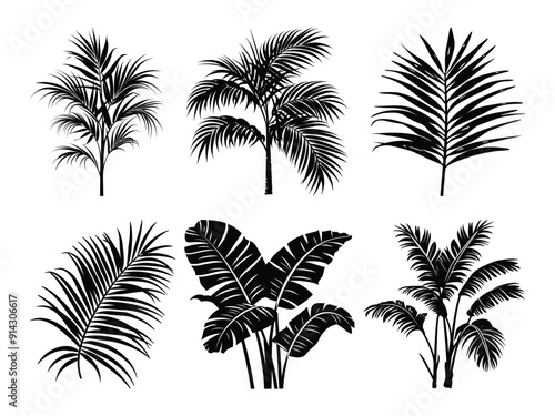 Tropical Plant Silhouette, Tropical palm leaves Silhouette Vector Illustration. Set of black silhouettes of tropical leaves palms.