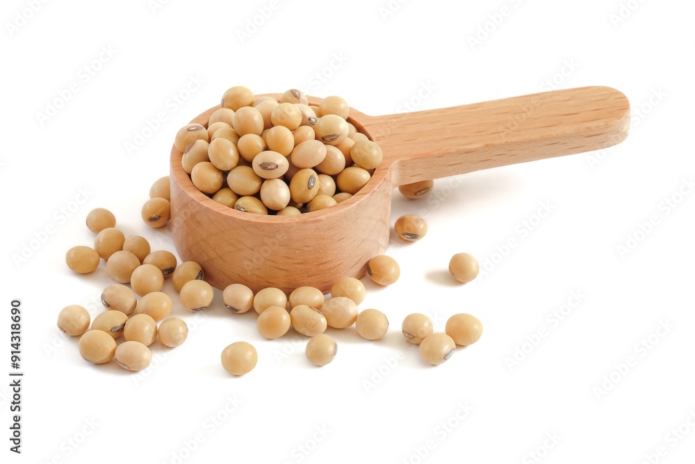 Soybean close up on white background. Soybean close up on white background.
