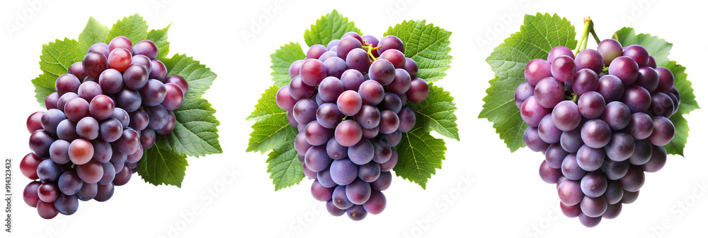 Bunch of grapes Bunch of grapes