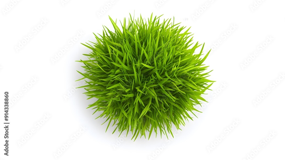 A vibrant patch of green grass isolated on a white background. A vibrant patch of green grass isolated on a white background.