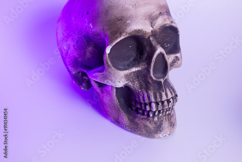 The artificial skull sits ominously, its hollow eyes and gaping mouth creating an eerie presence. This realistic-looking skull would make a chilling Halloween decoration, perfectly capturing the spook photo