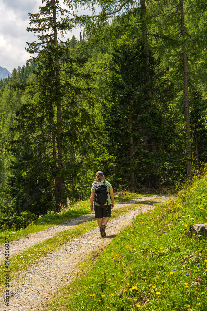 Obraz premium Woman with backpack on the trail with alpine mountain peaks. Back view of the tourist. Rocks, hills, green grass. Grossglockner. Hohe Tauern National Park, Austria. Hiking
