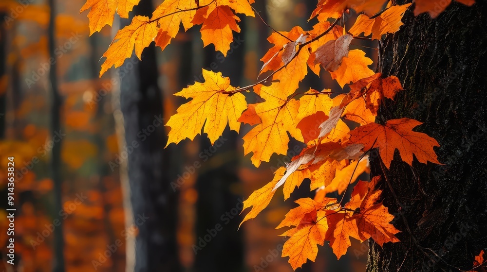 A tree with focused leaves against an indistinct backdrop of orange and yellow leafed trees A tree with focused leaves against an indistinct backdrop of orange and yellow leafed trees