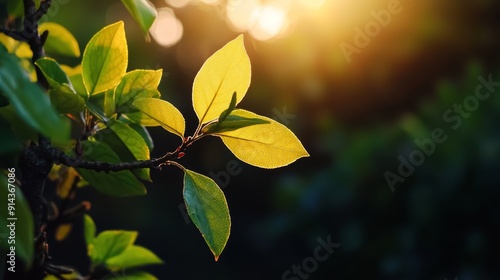  A tight shot of a tree leaf, sunbeams filtering in, backdrop softly blurred