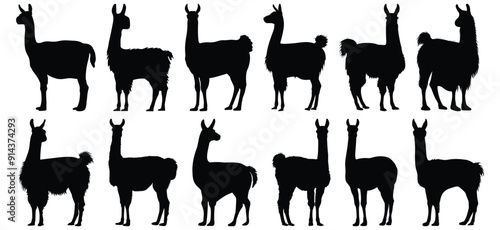 Llama silhouette set vector design big pack of animal illustration and icon