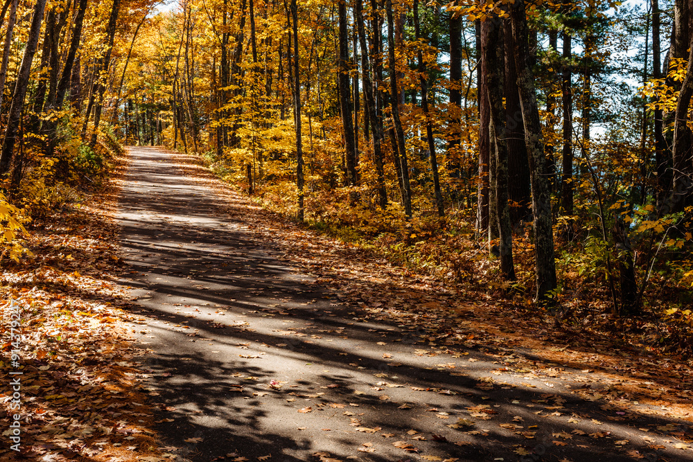 Obraz premium The rural forested road in mid-October along the eastern shoreline of Trout Lake near Boulder Junction, Wisconsin disappears into the woods atop the small hill
