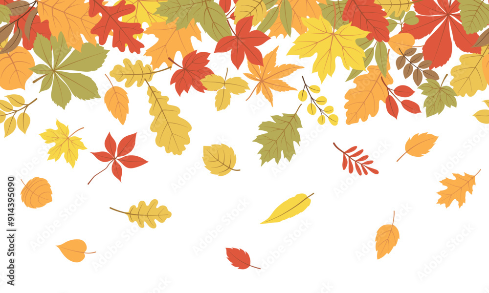 Fototapeta premium Autumn leaves a seamless border. Vector horizontal endless borders with forest flying leaves in bright colors. Seasonal fall design for greeting cards, banners, washi tape, web, and Thanksgiving day.