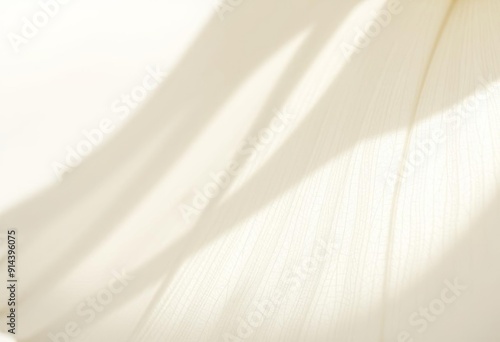 Shadow flower petals with fine lines and textures