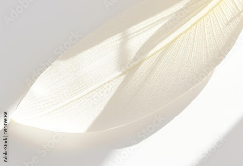 Shadow flower petals with fine lines and textures