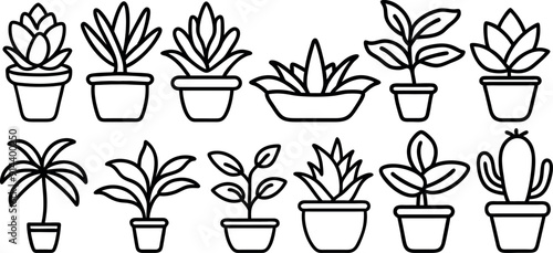 Set of house plant icons. Vector succulent plants icons set