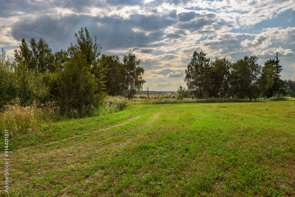A field with trees and grass in the background A field with trees and grass in the background