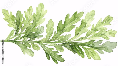 Wallpaper Mural A watercolor illustration of a lush green leafy branch with detailed leaves and visible veins, showcasing nature's intricate design in a simple but elegant artistic style. Torontodigital.ca