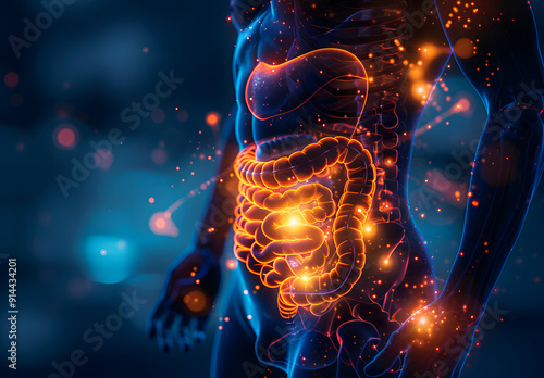 Anatomy of the human body with digestive system. 3d illustration design