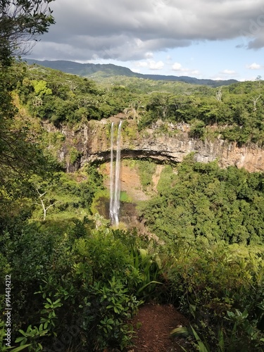 Beautiful Landscape from Jungle Forest Natural Park