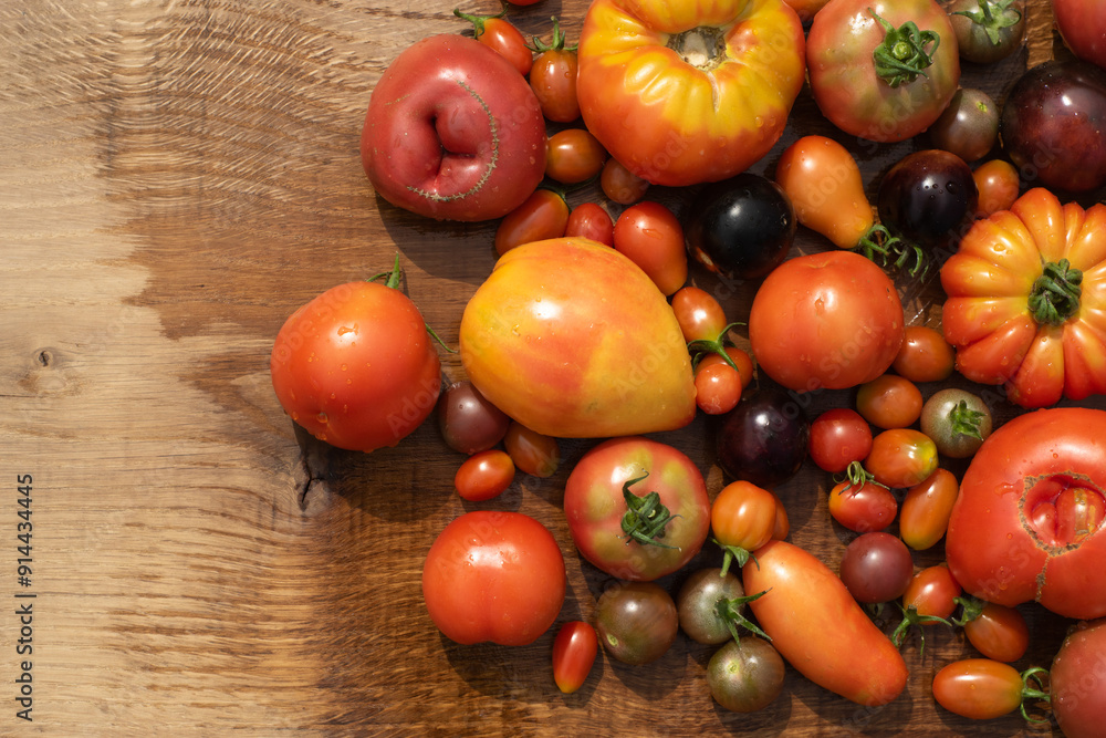 top view tomatoes in many shapes, sizes and colors on wooden background. Home greenhouse grown vegetables full of different flavours.