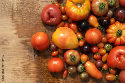 Obraz na płótnie top view tomatoes in many shapes, sizes and colors on wooden background. Home greenhouse grown vegetables full of different flavours. w salonie
