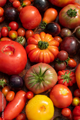 top view tomatoes in many shapes, sizes and colors  on wooden background. Home greenhouse grown vegetables full of different flavours.