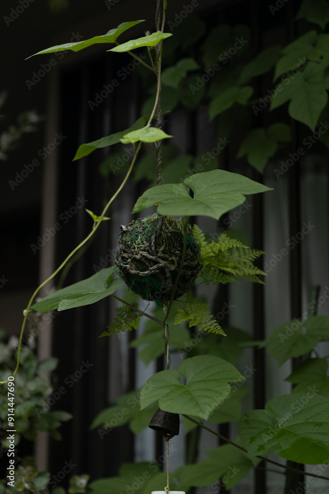 Fototapeta premium Ball of dirt and plants