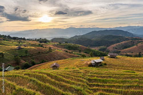 Sunset View of Mountain Rice Terraces at Pa Pong Piang, Chiang Mai, Thailand