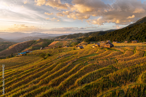 Sunset View of Mountain Rice Terraces at Pa Pong Piang, Chiang Mai, Thailand