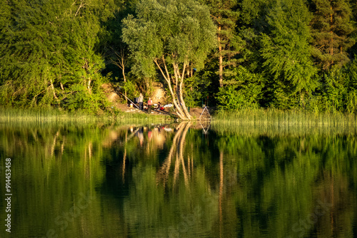 Enchanting Reflection of a Lakeside Forest: Calm and Serene Landscape Photo. Stock Photo. 