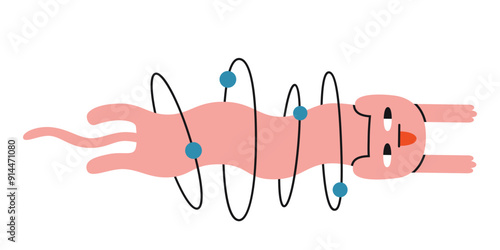 A cute cat flies through the rings of atomic trajectories. Education and Science concept. Trendy modern vector illustration isolated on white background, hand drawn, flat design