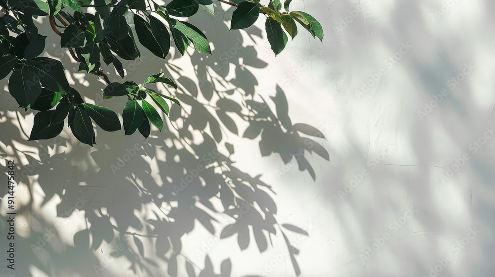 tree leafes shadow on white background tree leafes shadow on white background