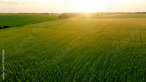 Golden Sun Over Green Fields At Sunset photo