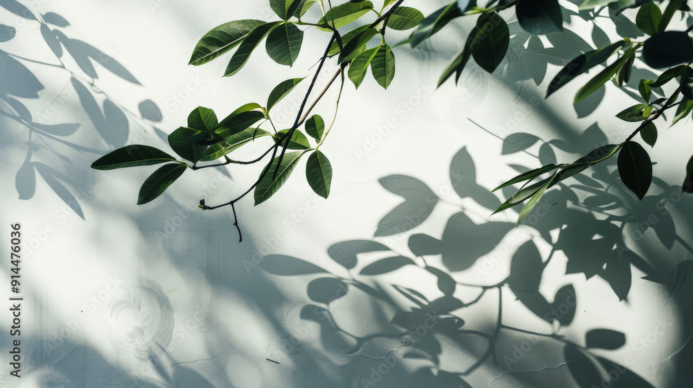 tree leafes shadow on white background tree leafes shadow on white background