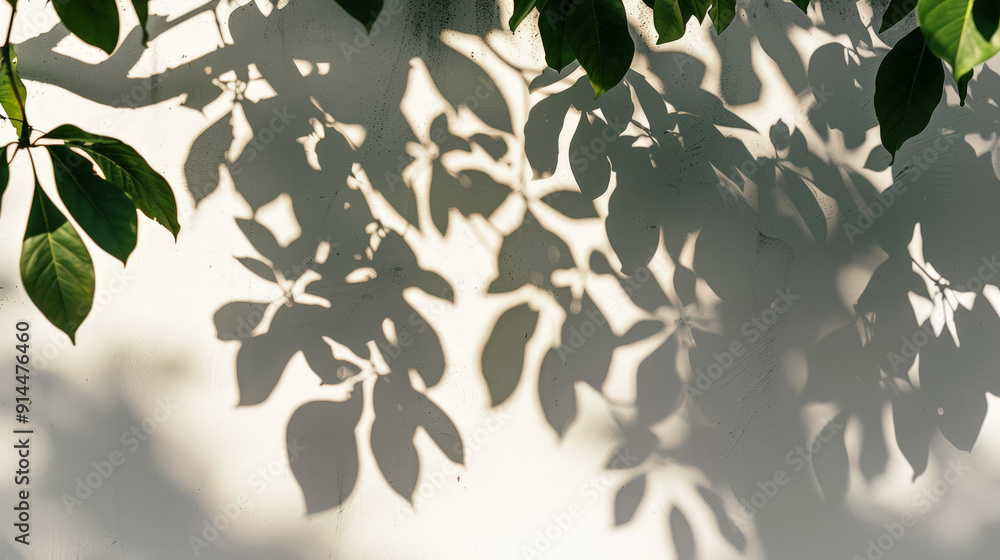 tree leafes shadow on white background tree leafes shadow on white background