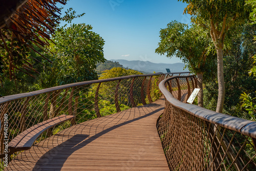 Canopy walk at Kirstenbosch National Gardens in Cape Town