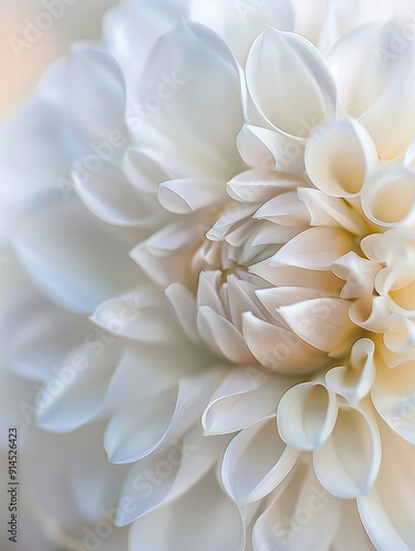 Ethereal White Dahlia Macro: Delicate Petals in Soft Focus Revealing Nature's Intricate Beauty