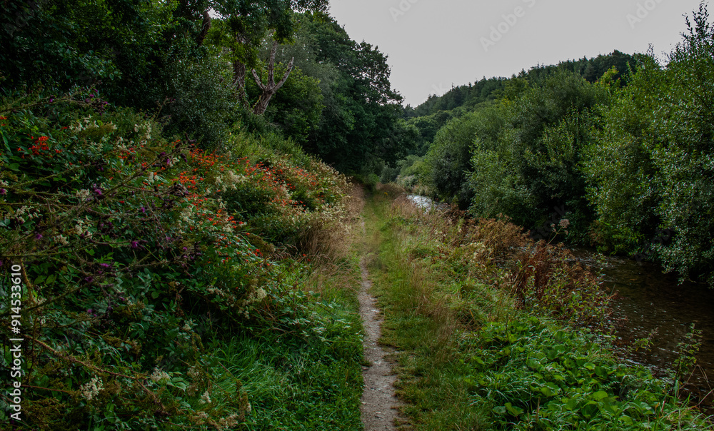 Cornish River Walk in Summer. Cornish River Walk in Summer.