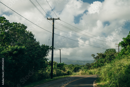 Highway through a lush tropical forest in kauai, hawaii - may 2023 photo