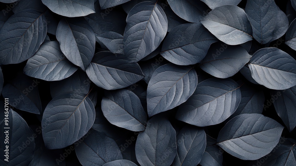 Black Leaves Texture – Abstract Nature Background with Tropical Leaf Pattern, Wallpaper Design for Banner or Poster, Black Foliage Wall Art, Botanical Dark Greenery Concept, Dark Grey and Black Leaves Black Leaves Texture – Abstract Nature Background with Tropical Leaf Pattern, Wallpaper Design for Banner or Poster, Black Foliage Wall Art, Botanical Dark Greenery Concept, Dark Grey and Black Leaves