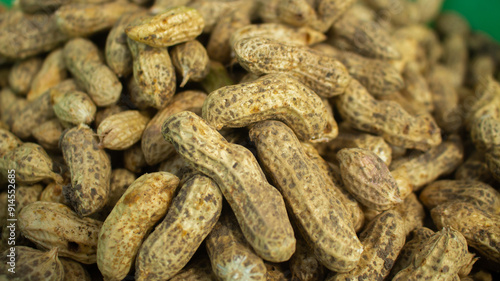 Group of fresh ground peanuts harvest from field.